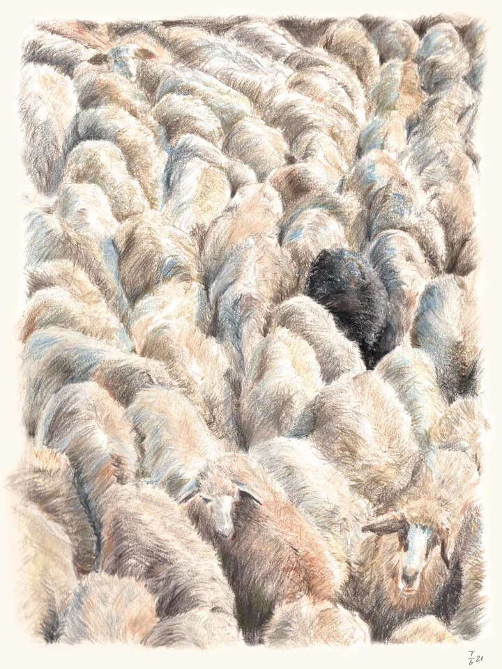 tg_illustrationen_8.jpg